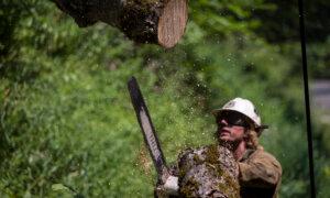 Possible Thunderstorms Over Southern California Prompt More Fire Warnings